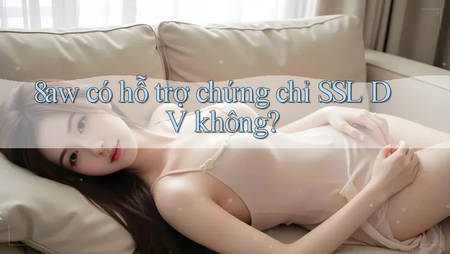 8aw có hỗ trợ chứng chỉ SSL DV không? 8aw có hỗ trợ chứng chỉ SSL DV không?