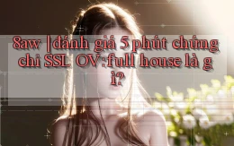 8aw đánh giá 5 phút chứng chỉ SSL OV full house là gì