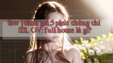 8aw đánh giá 5 phút chứng chỉ SSL OV full house là gì
