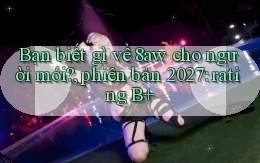 Bạn biết gì về 8aw cho người mới, phiên bản 2027 rating B