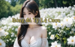 Bóng đá Tỷ lệ cược