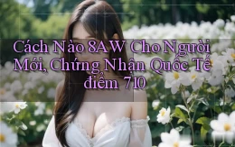 Cách nào 8aw cho người mới, chứng nhận quốc tế điểm 710