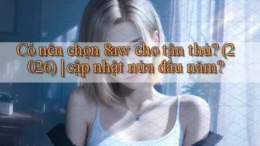 Có nên chọn 8aw cho tân thủ (2026) cập nhật nửa đầu năm