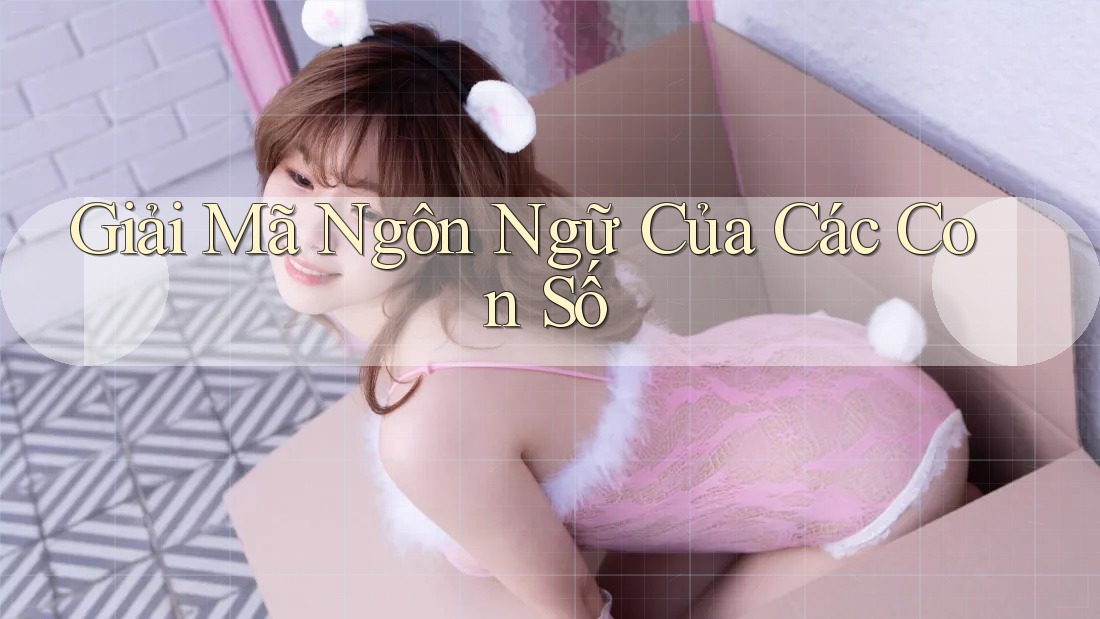 Giải Mã Ngôn Ngữ Của Các Con Số
