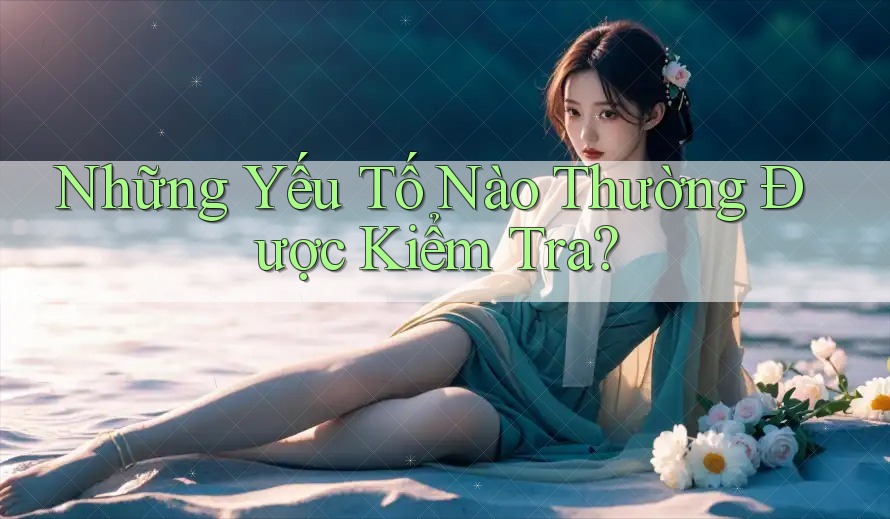 Những Yếu Tố Nào Thường Được Kiểm Tra? Những Yếu Tố Nào Thường Được Kiểm Tra?