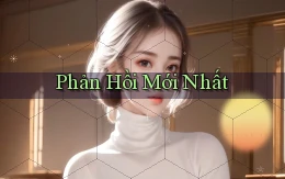 Phản hồi Mới nhất