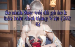 So sánh 8aw với đá gà ảo khác luật chơi tiếng Việt (2026)