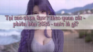 Tại sao chọn 8aw theo quan sát   phiên bản 2026   ante là gì