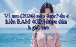 Vì sao (2026) nên 8aw đa chiều RAM 4GB được đánh giá cao